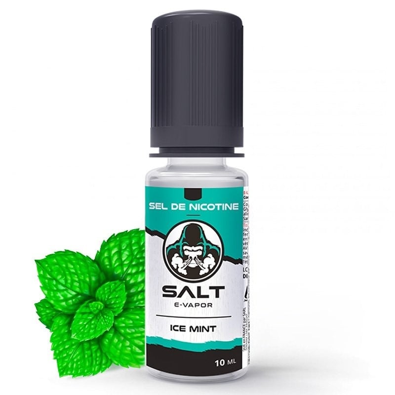 Ice Mint Salt 20 mg de Le French Liquide